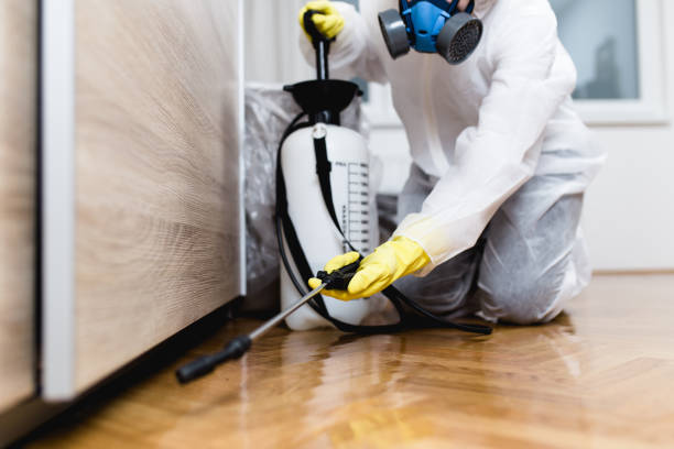 Best Bed Bug Extermination  in Lmar, DE
